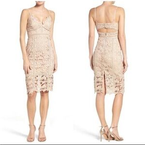 Bardot Nude Lace Midi Dress XS